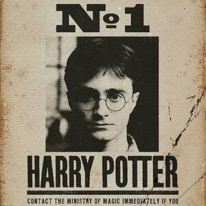 Póster "Indeseable No. 1" - Harry Potter